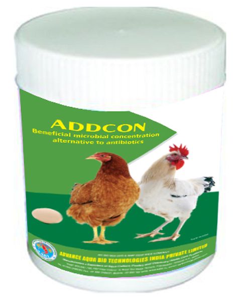 Addcon Antibiotics
