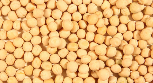 Common Yellow Peas, Packaging Type : 25-50 kgs pp bags