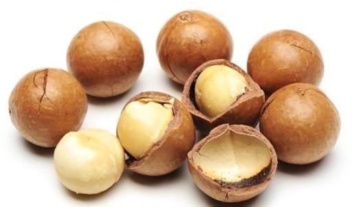 Macadamia Nut (Shell and Shell Off) - Best Price and Quality.