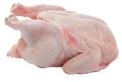 Whole Frozen Chicken HALAL 1500 2000 Gr