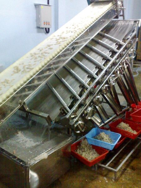 Automatic Grading & Filth Washing System for Shrimps PUD variety (Capacity- 450 to 500 kg. per hr.)
