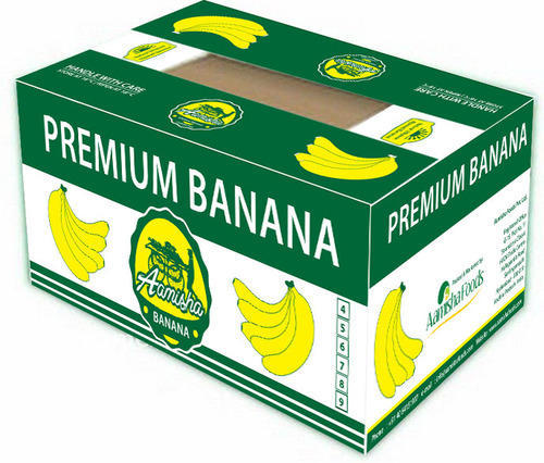 Fresh Premium Banana