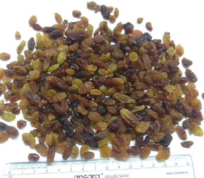 Common Malayar Raisins, Style : Dried, Frozen