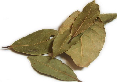 Dried Bay Leaves