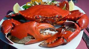 Fresh Crab, for Household, Restaurant