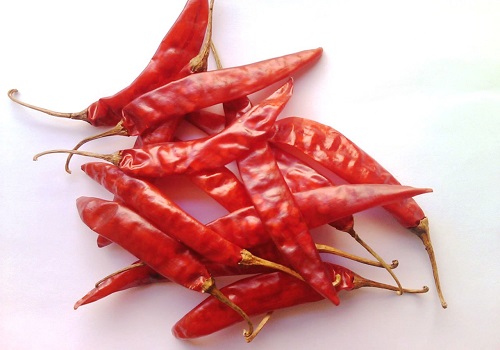 Organic dry red chilli