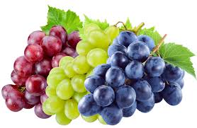 fresh grapes