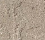 Dholpur Beige Sandstone