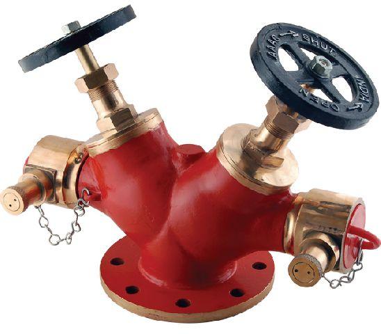 Double Outlet Valve