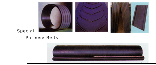 special purpose belts