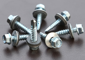 Hex Washer screws