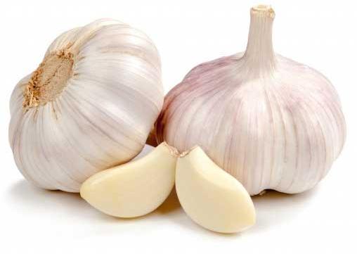 garlic