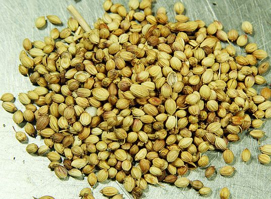 coriander seed