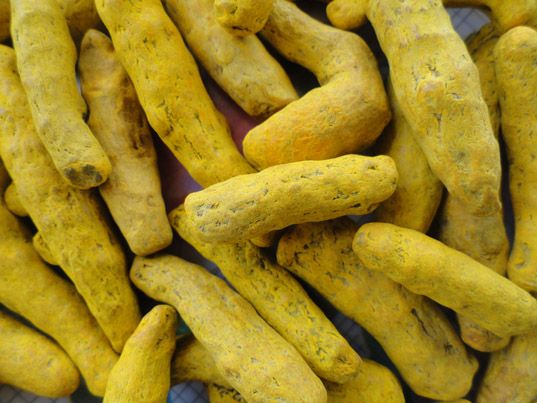 turmeric