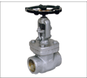 Check Valves