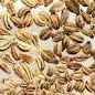 Ajwain Seed