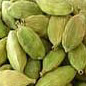 Cardamom