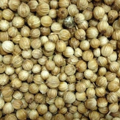 coriander seeds