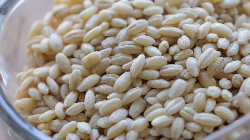 Russian Pearled Barley