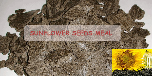 Superior Quality Sunflower Meal