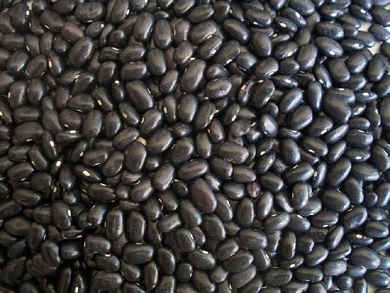 BLACK KIDNEY BEANS / BLACK BEANS