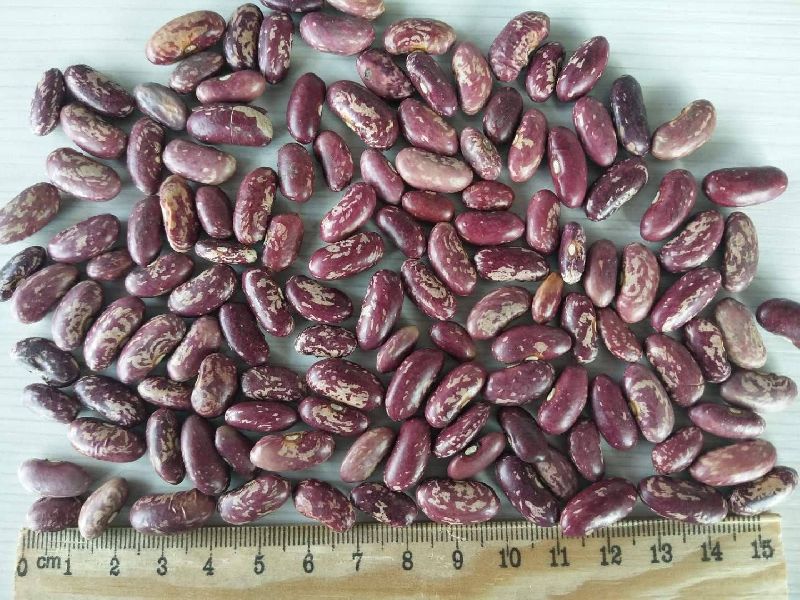 Kidney Beans