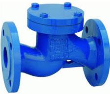 Lift Non Return Valves