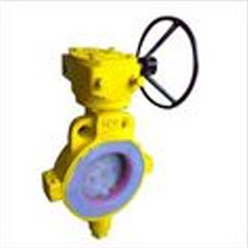 Ptfe Lined Butterfly Valve