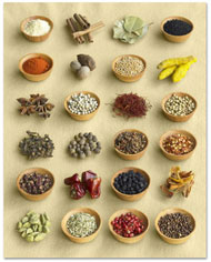 Indian Spices