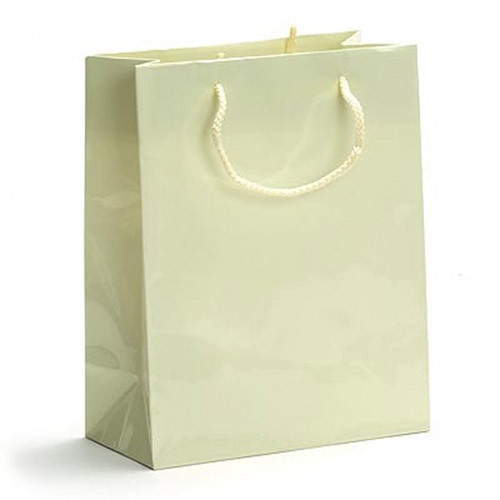 HDPE Plain Laminated Paper Bag, Feature : Recyclable