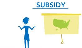 Subsidy Consulting Services