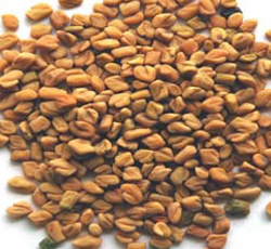 Fenugreek Seeds