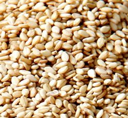 sesame seeds