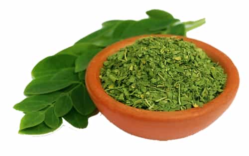 moringa leaves