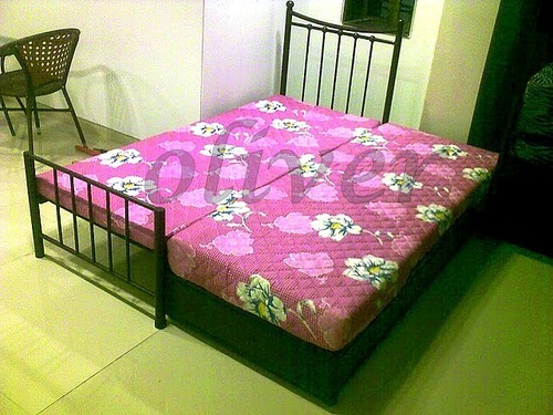 With Pull Out bed