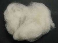 High Quality Sheep Wool