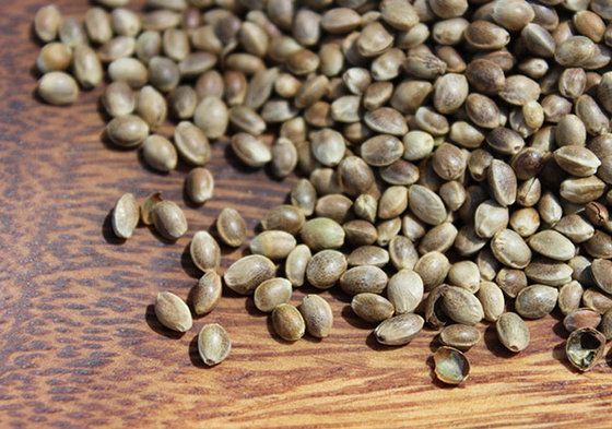 Top Shelled Hemp Seeds