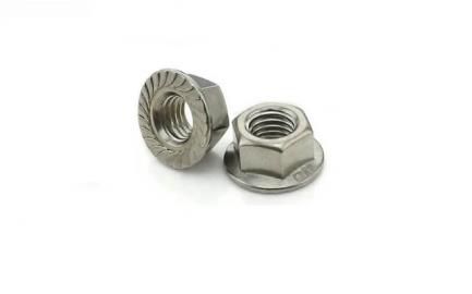 Steel Fastener Flange Nuts, Grade : A2, A4, 200 Series