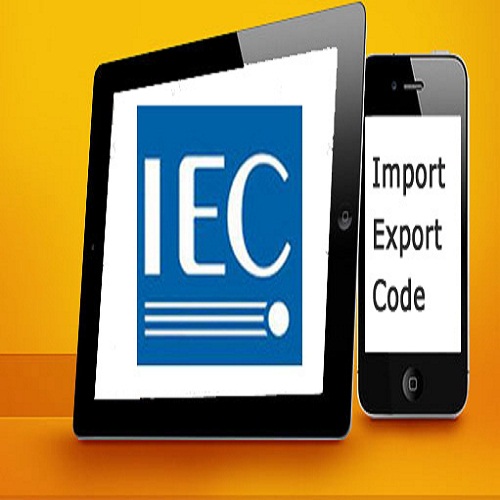 IEC Consultant Services