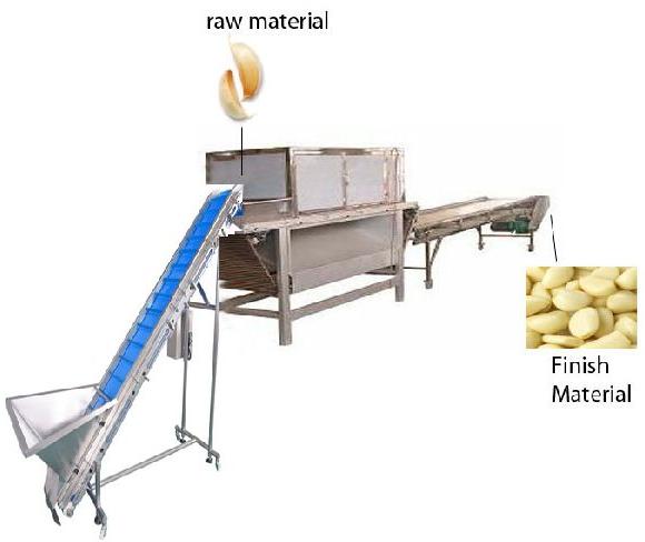 Garlic Peeling machine 500kg capacity, Certification : ISO 9001:2008
