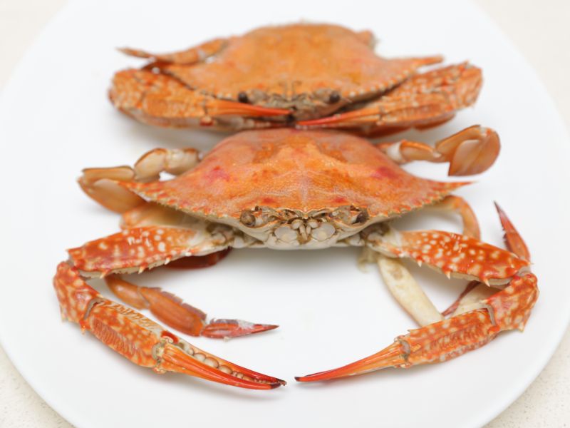 Fresh Crab, for Home, Hotel, Restaurant etc., Certification : HACCP