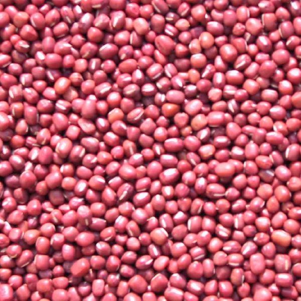 Adzuki Bean/small Red Bean