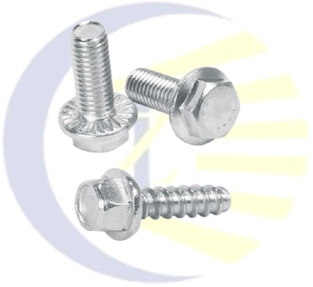 Stainless Steel Flange Bolt, SS Flange Nut