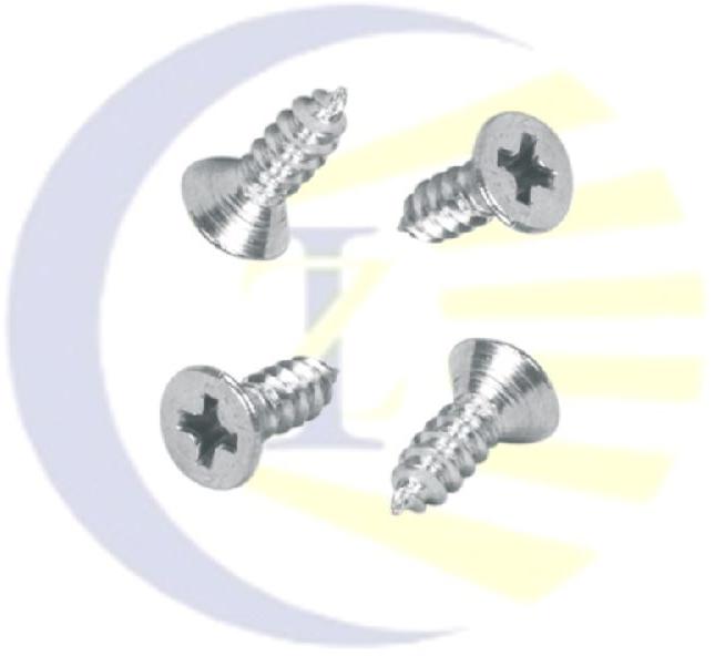 Stainless Steel CSK Philips Screw, CSK Self Tapping Screw
