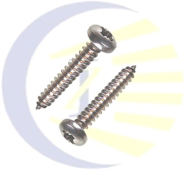 stainless steel pan phillips screws, Pan Head Self Tapping Screws