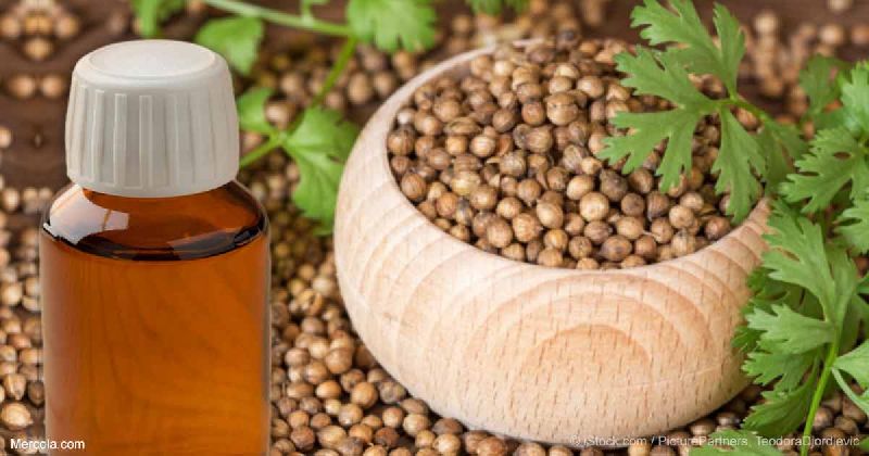 Coriander Seed Oil, Purity : 100% Pure