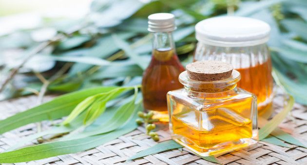 Eucalyptus Oil, for Pharma Food, Purity : 100% Pure