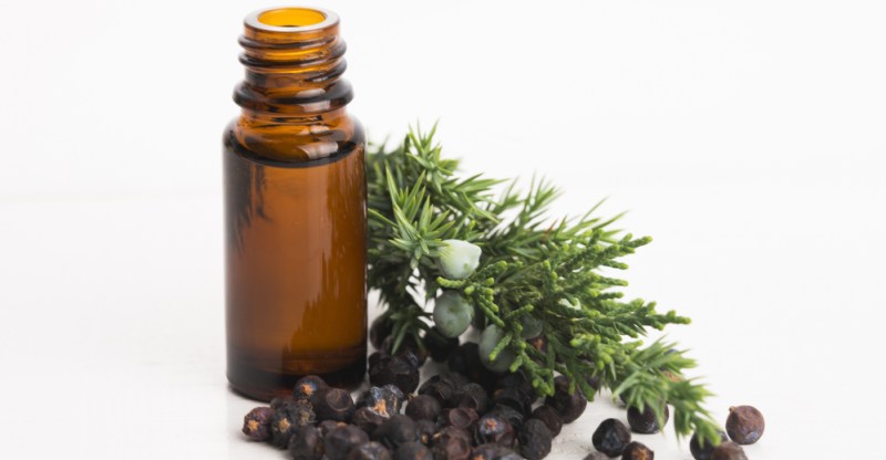 Juniper Berry Essential Oil