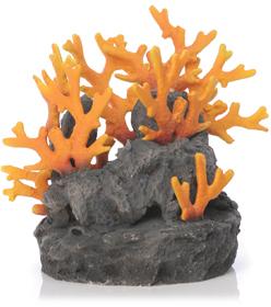 Lava Rock With Fire Coral Aquariums