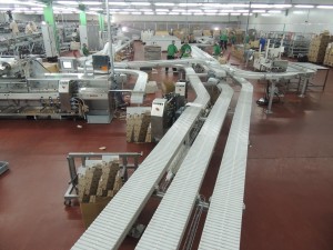 Slat Chain Conveying Systems